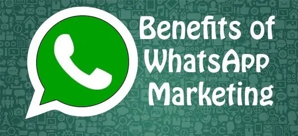 whastapp marketing